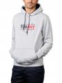 Tommy Jeans  Essential Graphic Hoodie silver grey - image 1