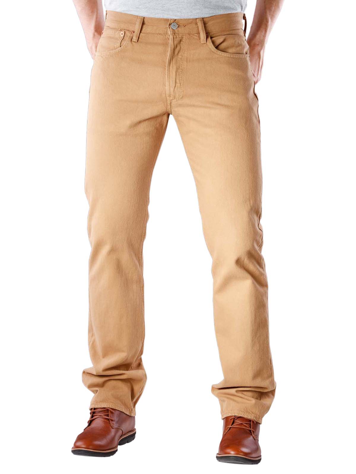levi's garment dyed 501